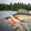 Multi-color Outdoor Fishing Hook False Lure Set